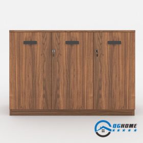 T201