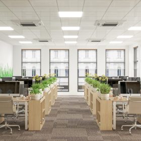 Thiết kế thi công nội thất văn phòng 80m2