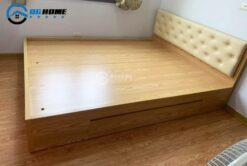 GN08.2 510x342 2