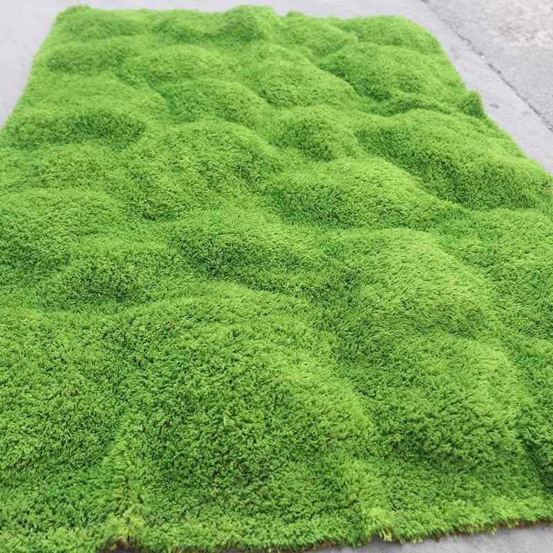 hinh anh co long heo