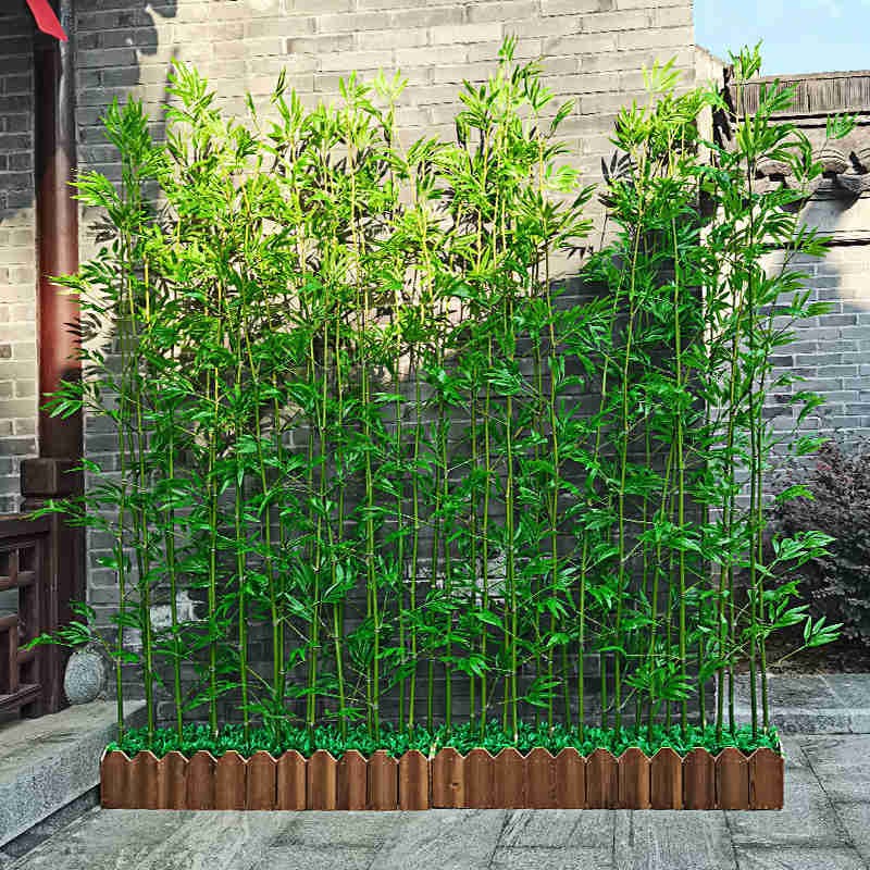 trang tri truc quan tu